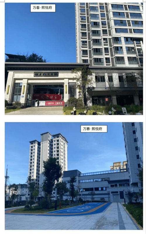 开发_单位_房地产市场